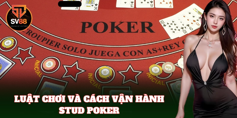 Luật chơi không đổi bài – Đậm chất trí tuệ và logic